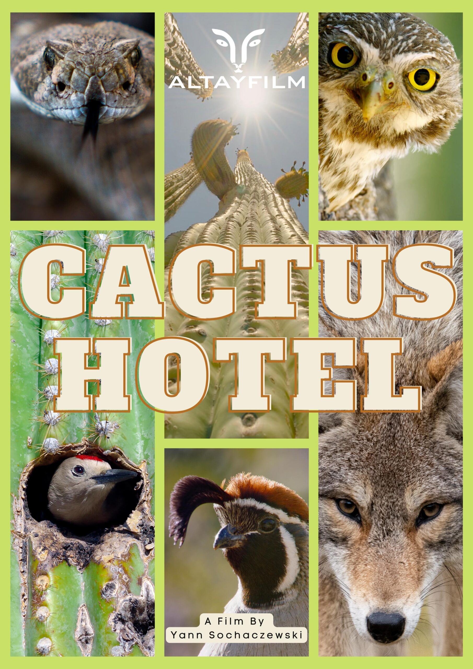 Cactus Hotel Film Poster (B1 Größe)